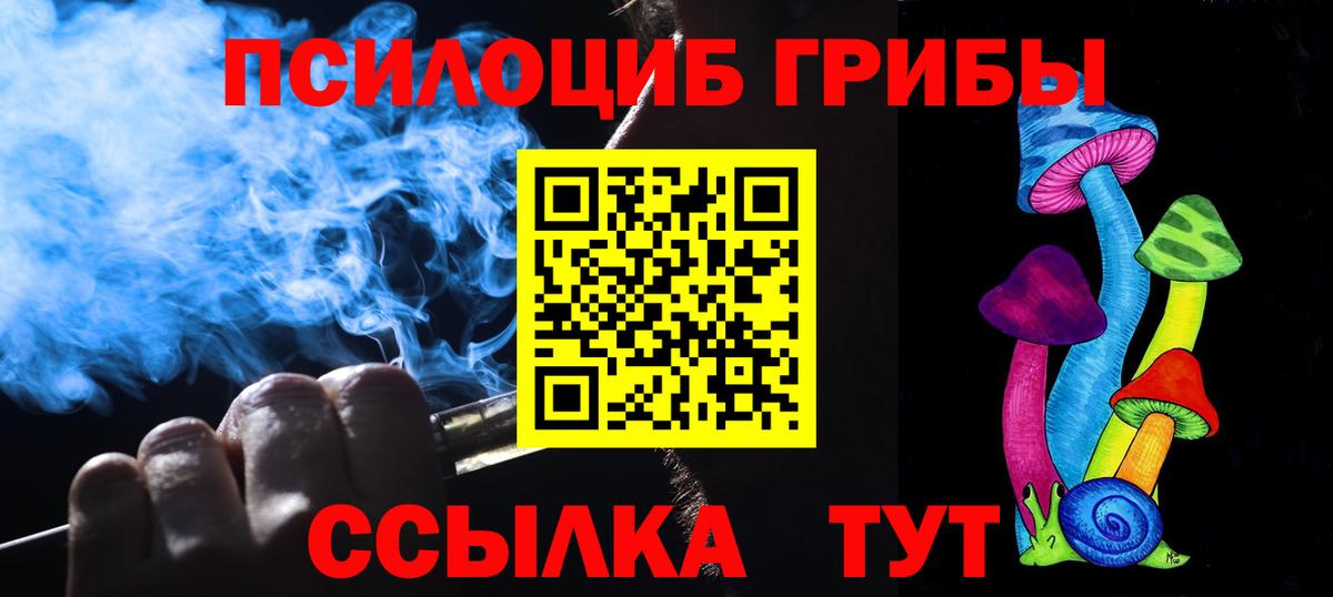 Галлюциногенные грибы прущие грибы  как найти   Строитель  Вход с VPN 